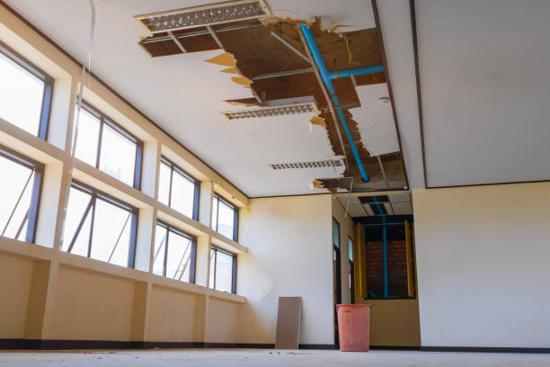 Best 24-hour water damage restoration  in Cedville, AR