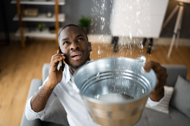 Best 24-hour water damage restoration  in Cedville, AR