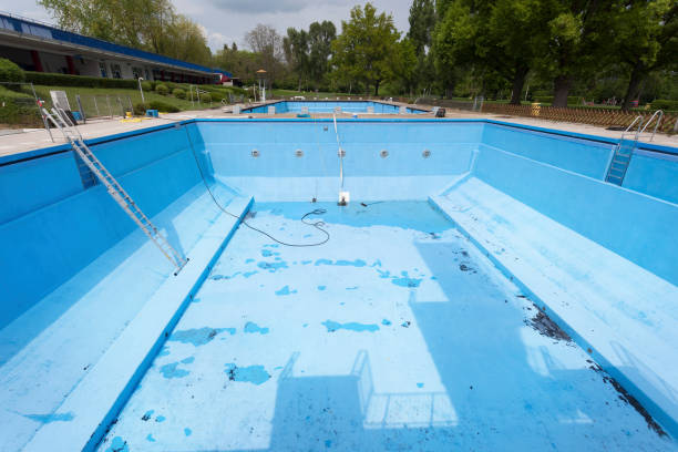 Best Water damage contractors near me  in Cedville, AR