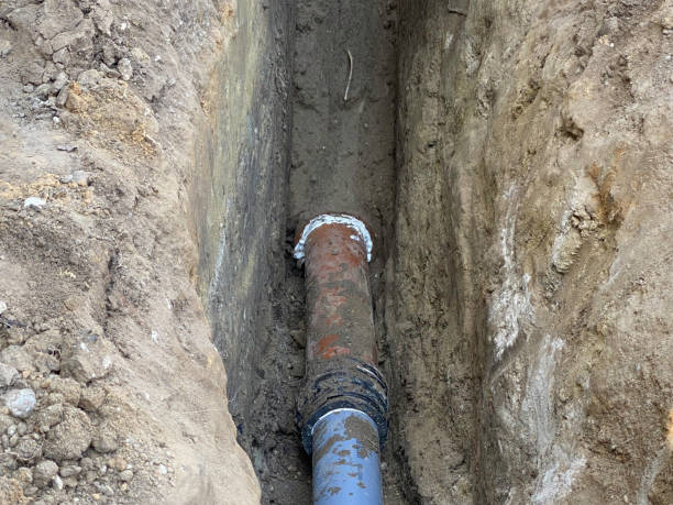 Best Flood restoration services  in Cedville, AR