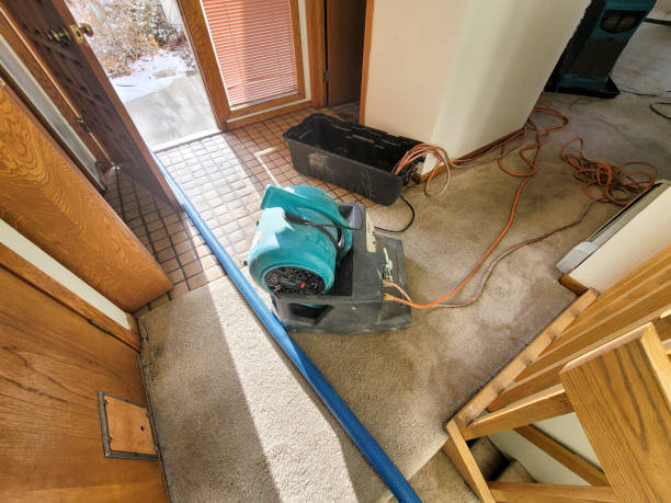 Best Water damage contractors near me  in Cedville, AR