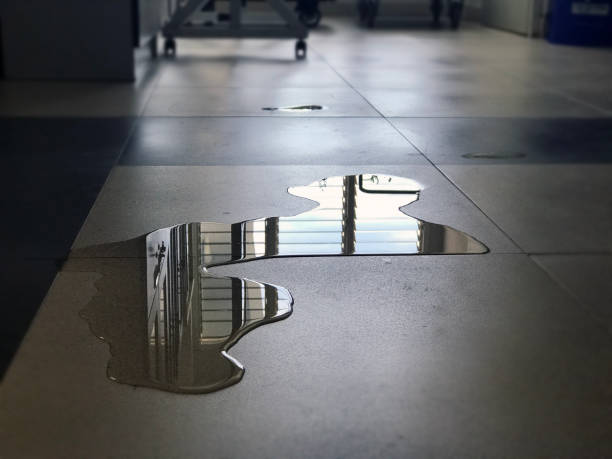 Best Water damage restoration near me  in Cedville, AR