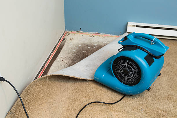 Best Sewage cleanup and water damage restoration  in Cedville, AR